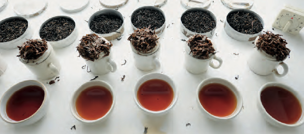 chai2